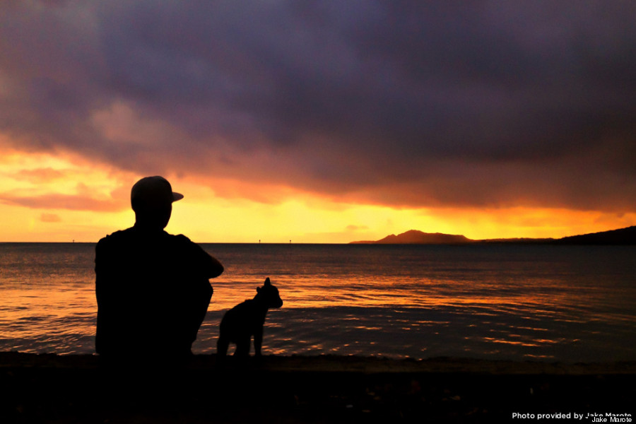 goat and sunset