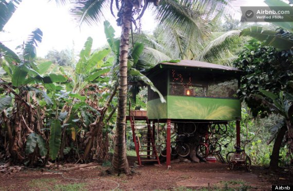 treehouse airbnb