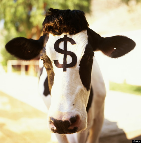 cash cow