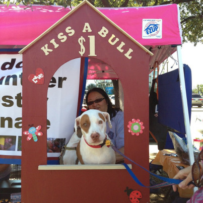 pit bull kissing booth
