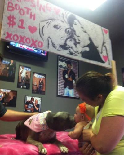 dog kissing booth