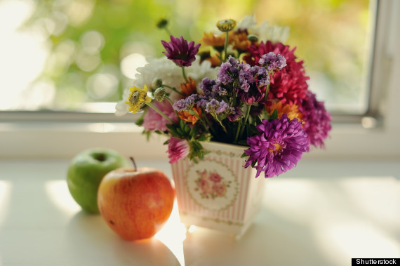 apple flowers