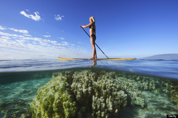 surfer coral hawaii