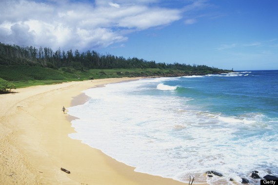 donkey beach hawaii