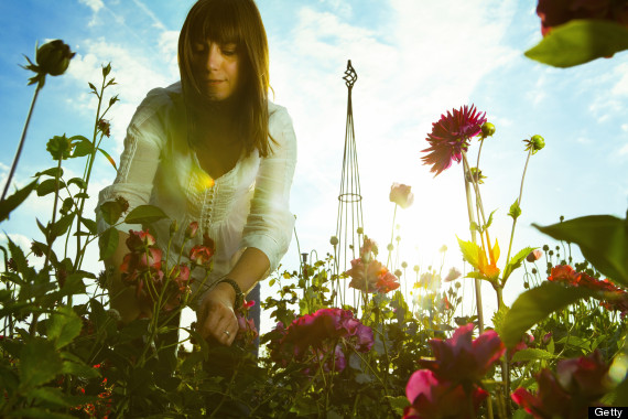 gardening