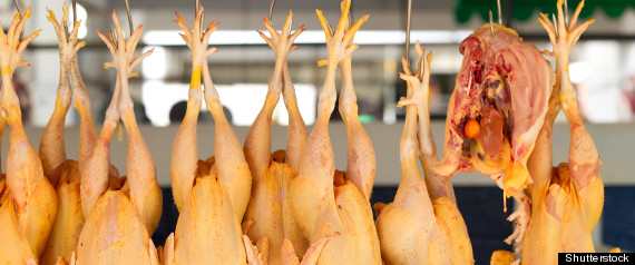 Chinese Poultry Processors Will Be Allowed To Export Meat To The U.S ...