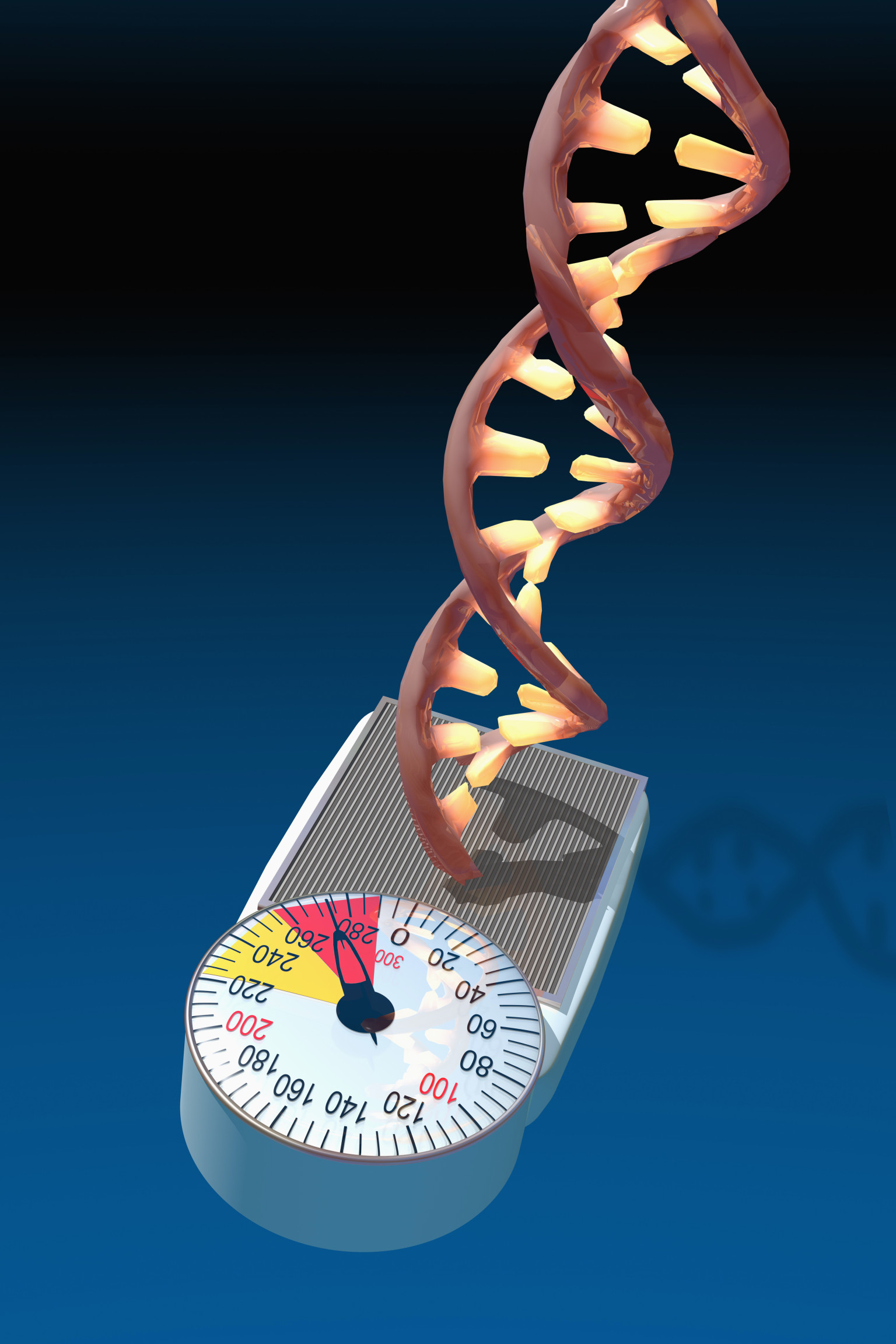 Knowing Obesity Gene Status Doesn't Make People Feel Helpless In Losing ...