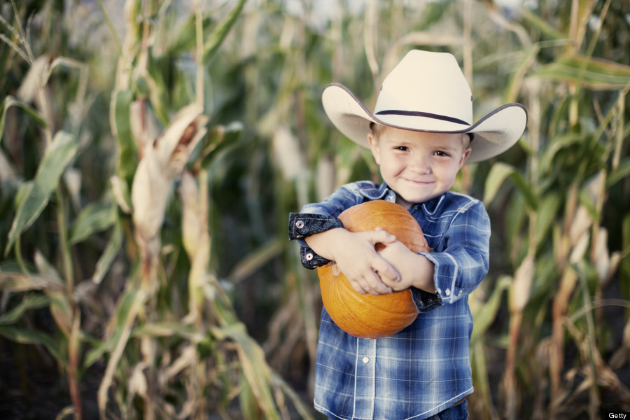 corn maze