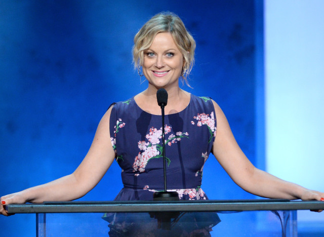 amy poehler