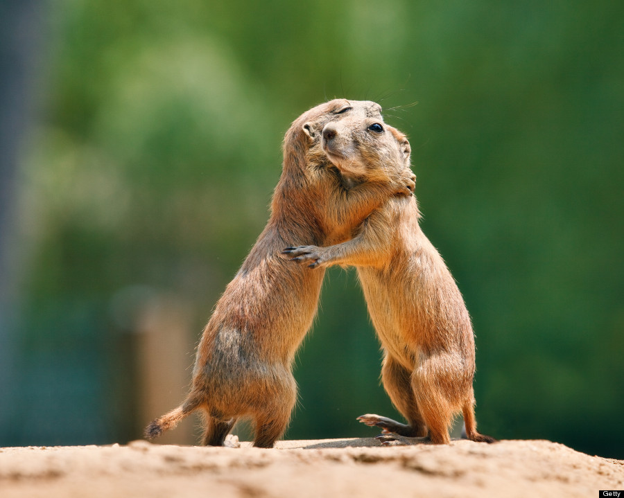 These Incredible Photos  Prove That True Love  Does Exist 