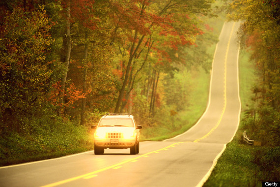 fall driving leaves