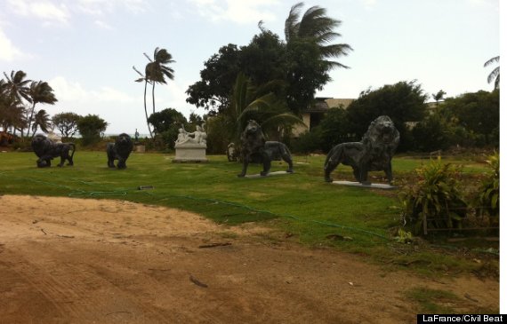 kawamoto kahala lions