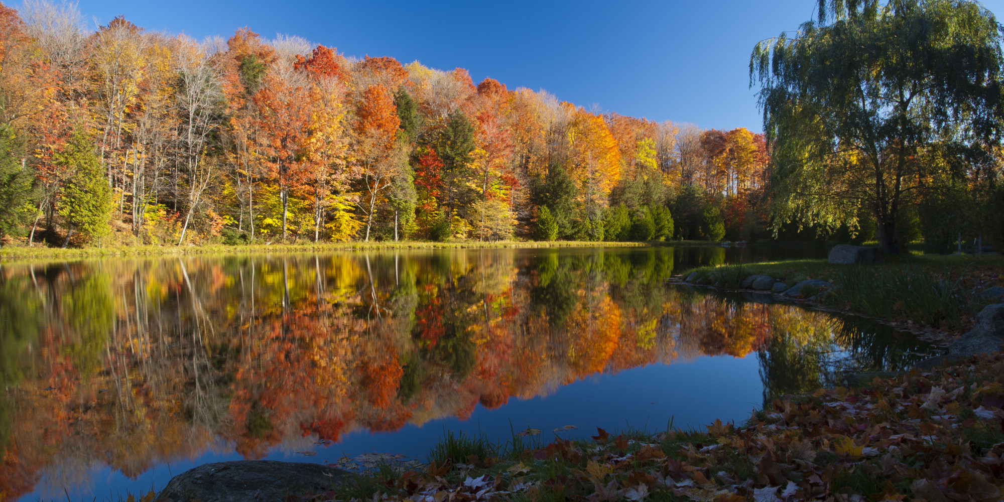 The Ultimate Fall Foliage Tour Through Ontario | Flight Network