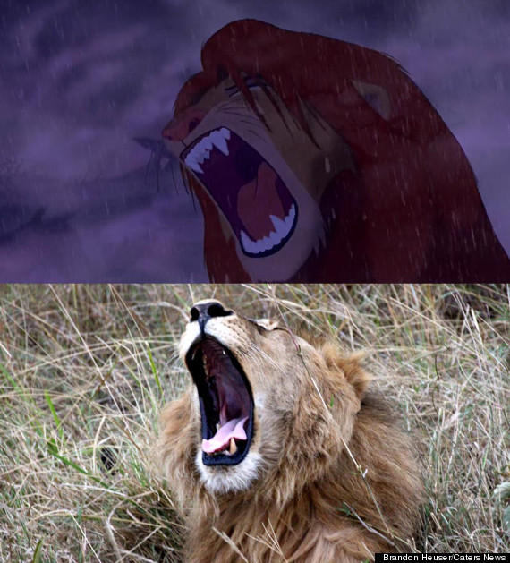 lion king