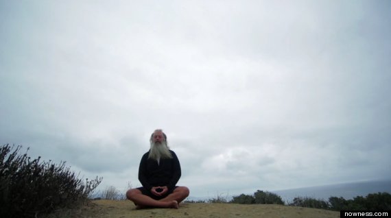 ceos meditate