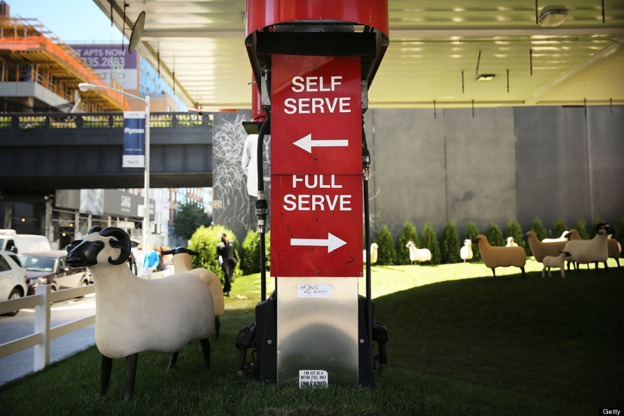 sheep station