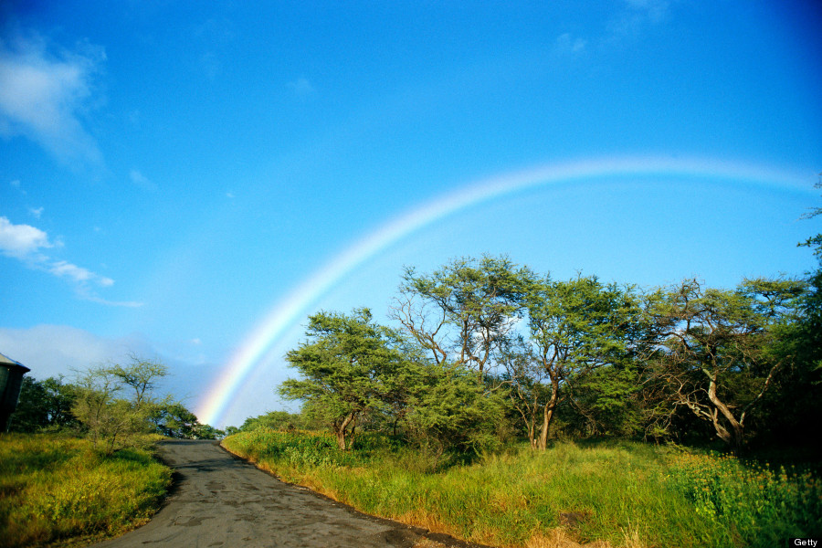 rainbow hawaii