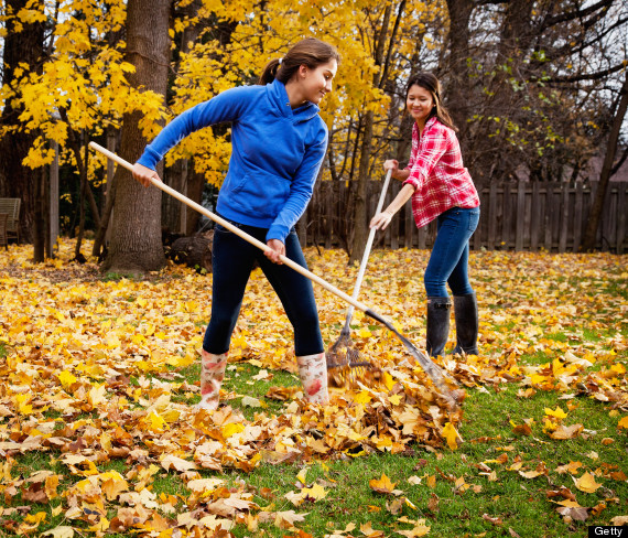 raking the yard