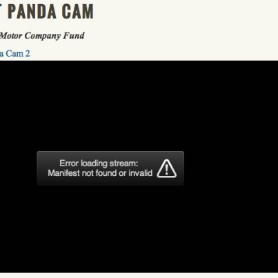 panda cam