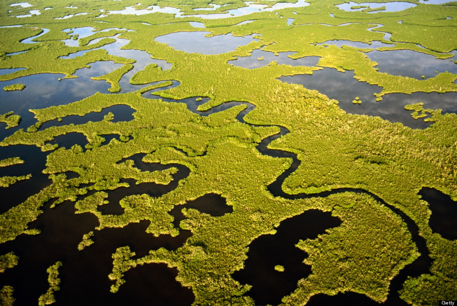 everglades national park