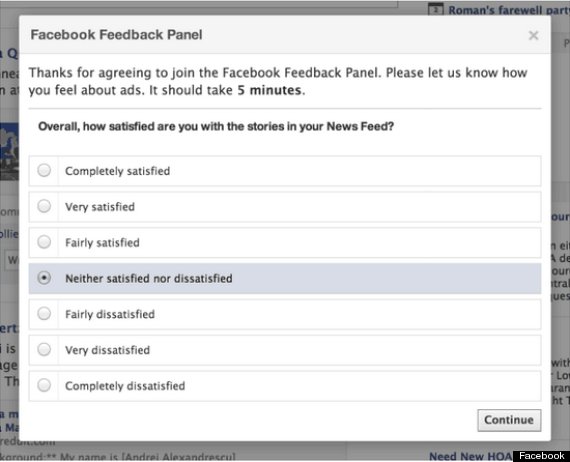 facebook feedback panel