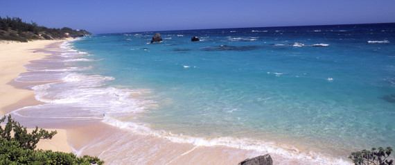 pink beach bermuda