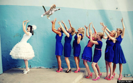 brides throwing cats