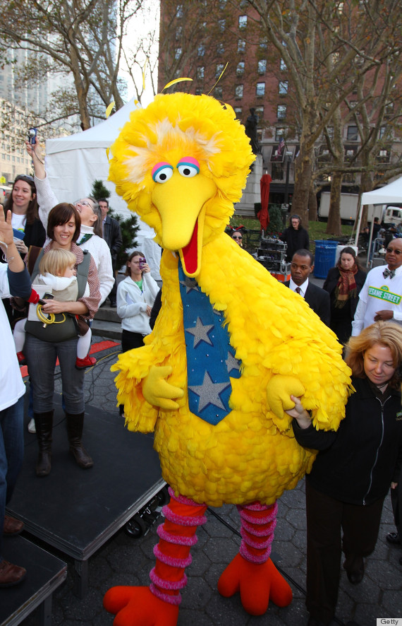 big bird