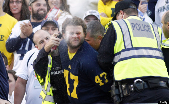 michigan fan