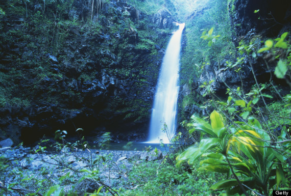 alele waterfall