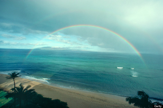 maui rainbow