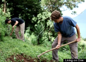 farming