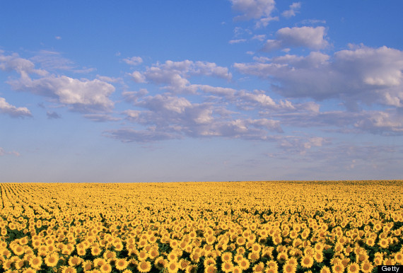 north dakota