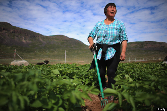 greenland farm