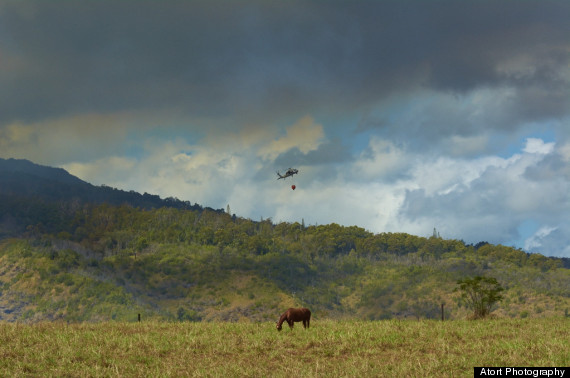 waialua wildfire