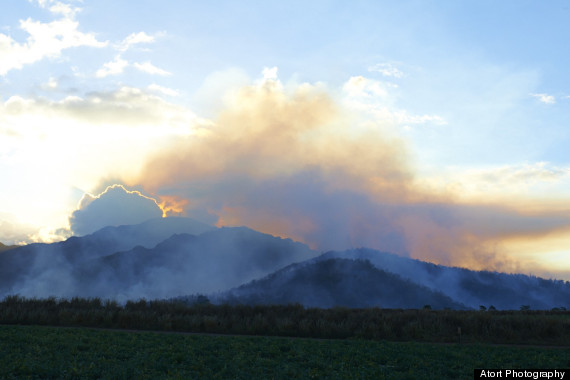 smoke waialua