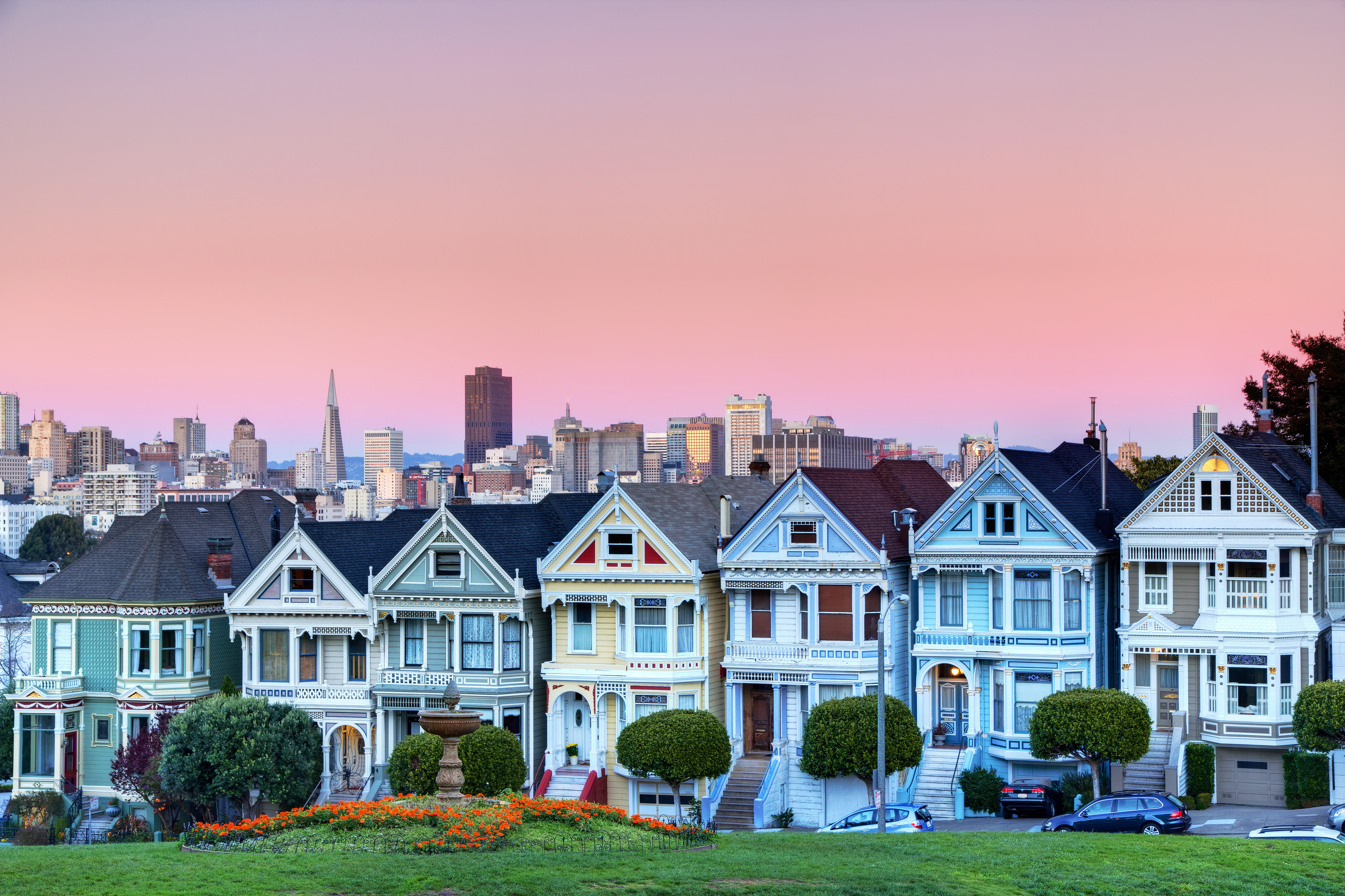 painted ladies