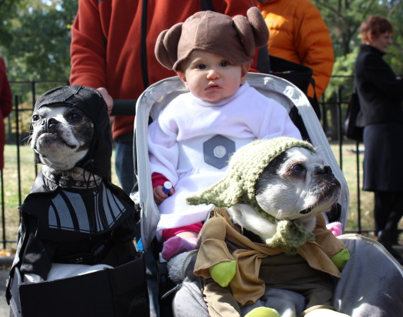 star wars family