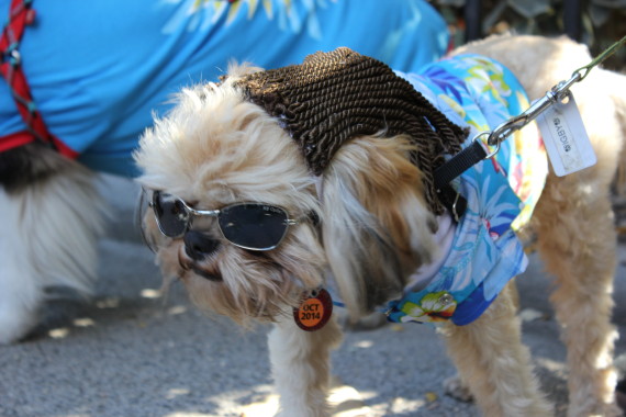 beach bum