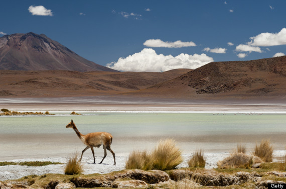 bolivian salt flats