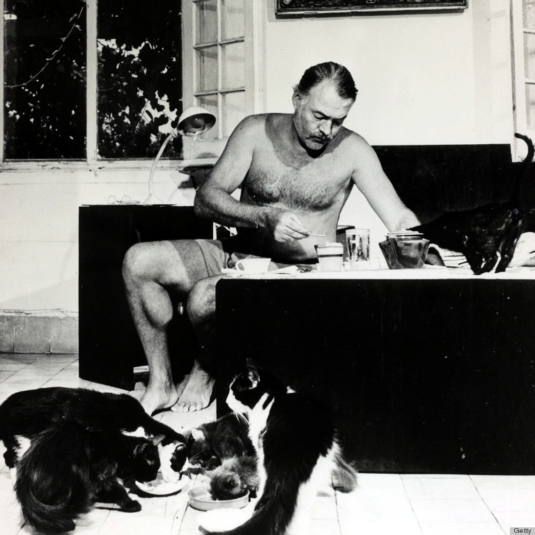 hemingway cat