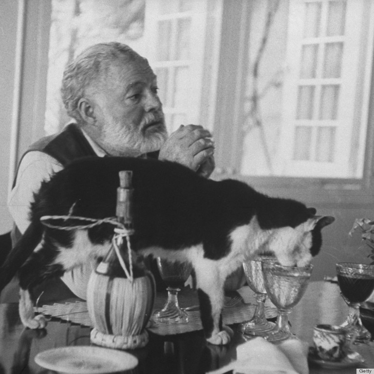 hemingway cat