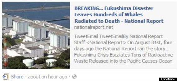 facebook fukushima whale hoax