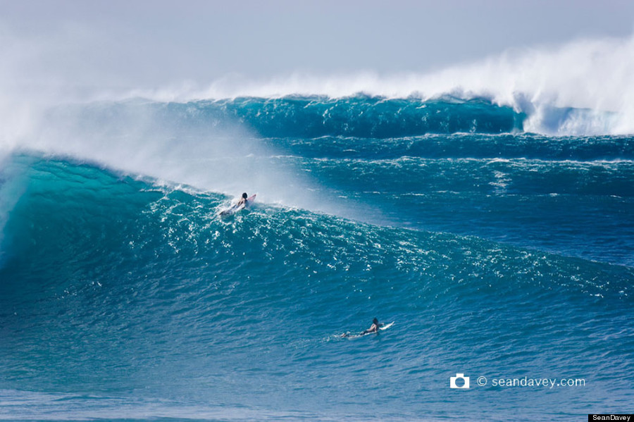 north shore surf