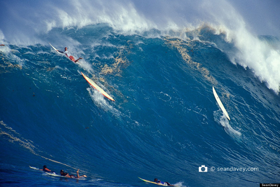 north shore waves