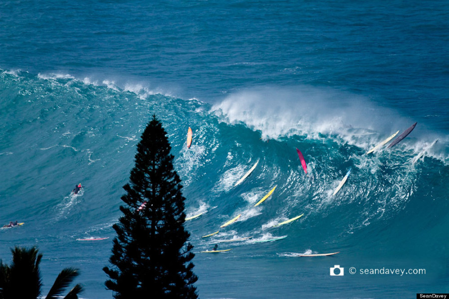 waimea bay surf