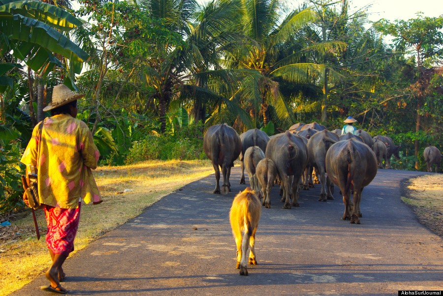 indonesia roads