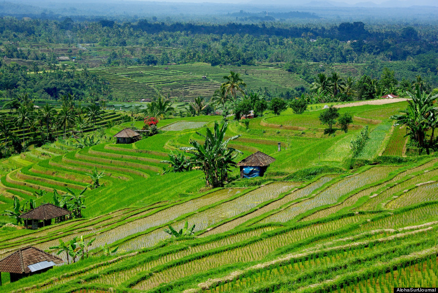 lombok fields