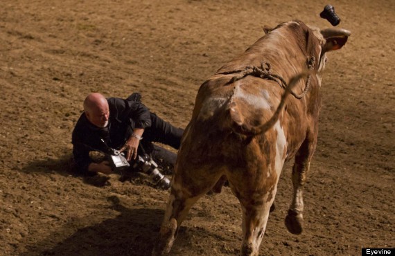 Rodeo Photographer Sent Flying By Rampaging Bull In Toronto (PICTURES)