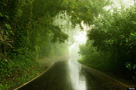 hawaii rain